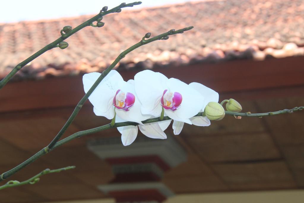 Pondok Hasan นูซาดูอา ภายนอก รูปภาพ
